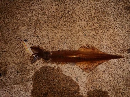 かなりのウネリの中で